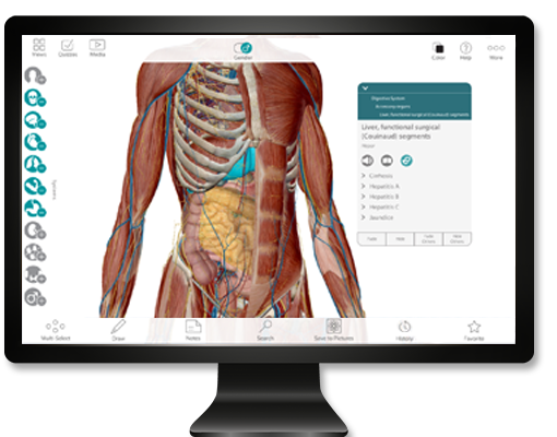 Human anatomy atlas for mac